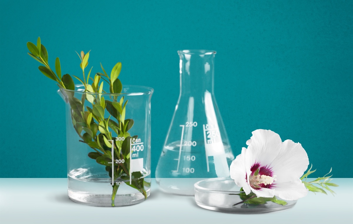 GMP - Cosméticos Gains